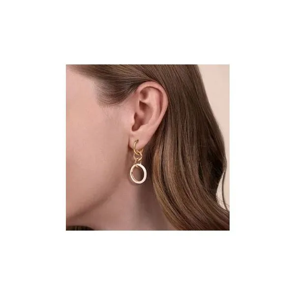 Gabriel & Co. Contemporary Yellow Gold Earrings Image 2 SVS Fine Jewelry Oceanside, NY