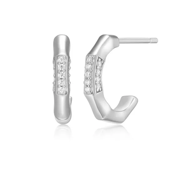 Lab Grown Diamond Bamboo J-Hoop Earrings, .10ctw SVS Fine Jewelry Oceanside, NY