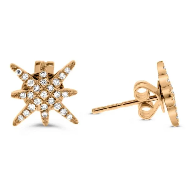 Rose Gold & Diamond Star Earrings, 0.12Cttw SVS Fine Jewelry Oceanside, NY