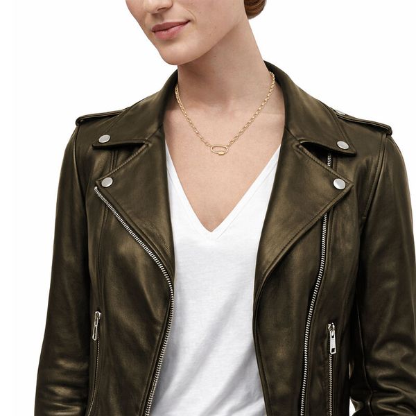 Yellow Gold Polished Rolo Chain Necklace Image 3 SVS Fine Jewelry Oceanside, NY