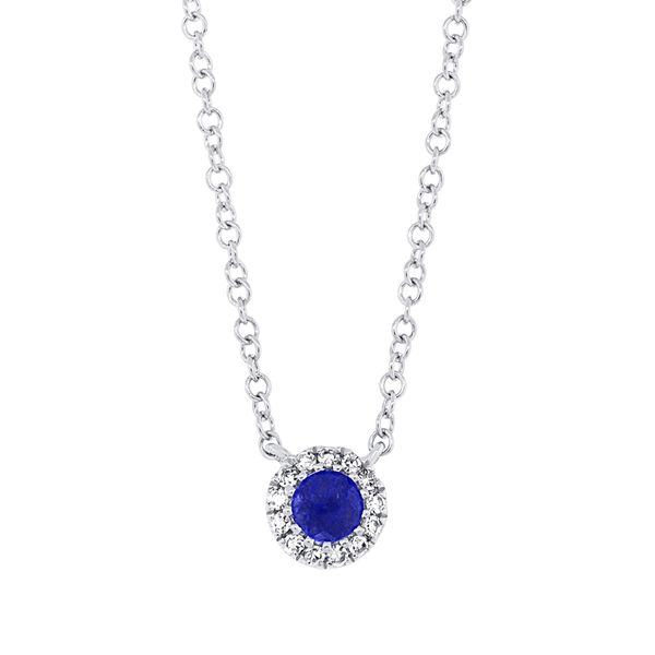 14K White Gold, Sapphire and Diamond Necklace SVS Fine Jewelry Oceanside, NY