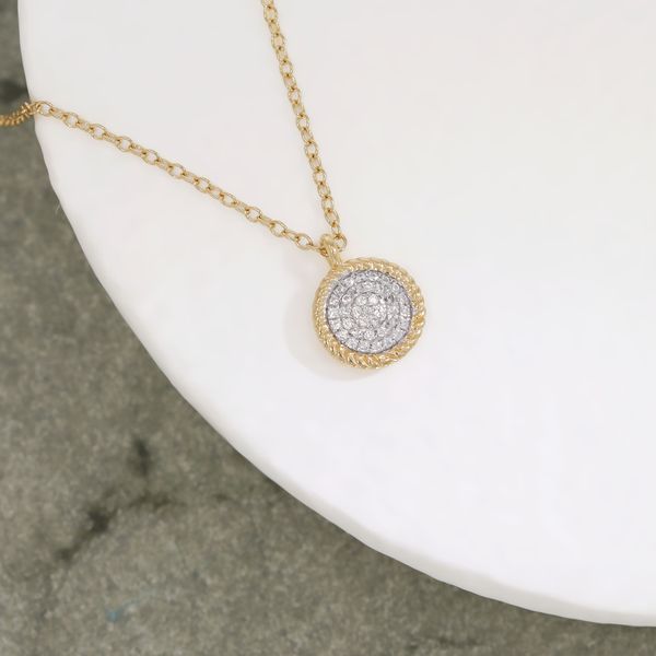 Ella Stein Circle Rope Gold Plated Silver Necklace Image 2 SVS Fine Jewelry Oceanside, NY