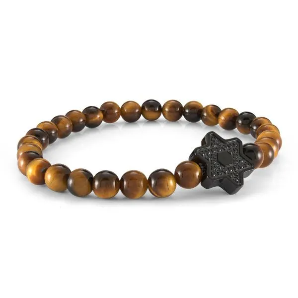Mens Black IP Steel, Black CZ, & Tigers Eye Bracelet