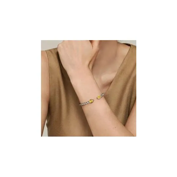 Gabriel & Co. Bujukan Sterling Silver And Citrine Bangle Image 2 SVS Fine Jewelry Oceanside, NY