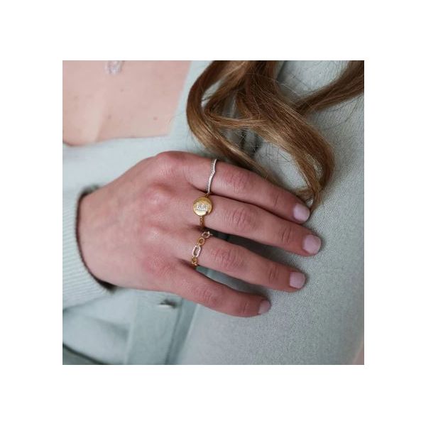 Ella Stein Linked Forever To You Gold Plated Silver Ring Image 2 SVS Fine Jewelry Oceanside, NY