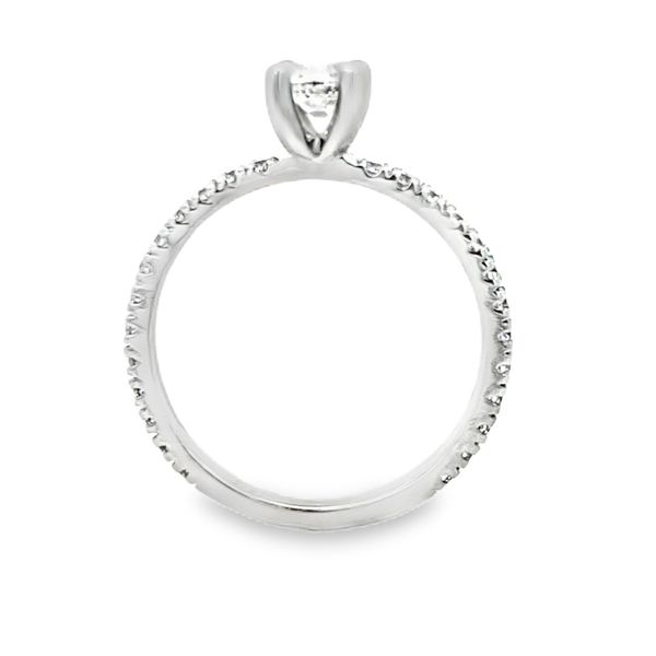 Round Diamond Engagement Ring with Diamond Shank, 14K White Gold, 0.87ctw Image 2 SVS Fine Jewelry Oceanside, NY