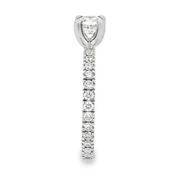 Round Diamond Engagement Ring with Diamond Shank, 14K White Gold, 0.87ctw Image 3 SVS Fine Jewelry Oceanside, NY