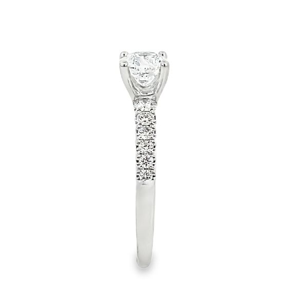 Sylvie Adorlee Round Solitaire Engagement Ring, Pavé Shank, 14K White Gold, 1.28ctw Image 2 SVS Fine Jewelry Oceanside, NY