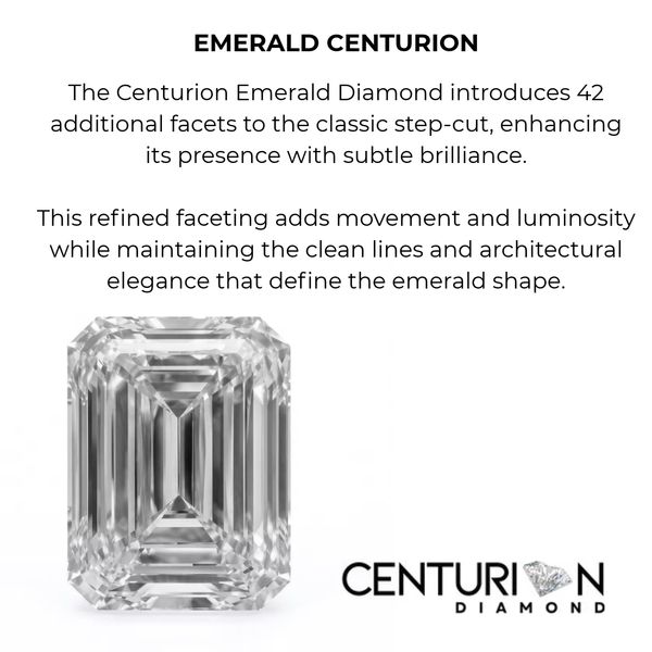 Centurion Emerald Cut Lab Grown Diamond Hidden Halo Engagement Ring 3.91ctw Image 5 SVS Fine Jewelry Oceanside, NY