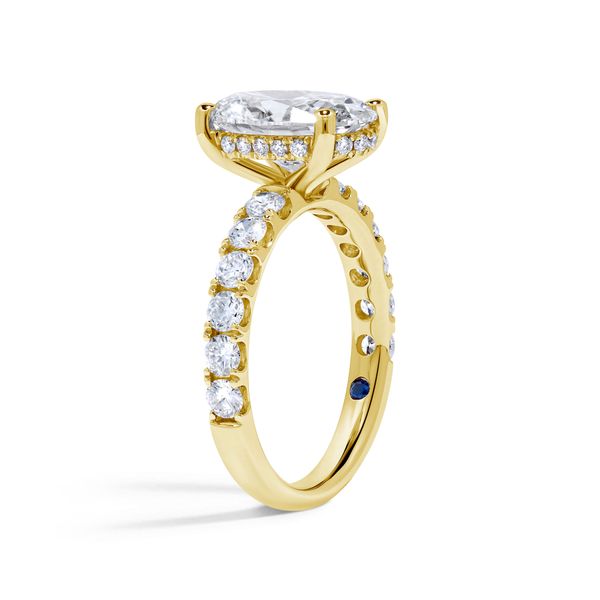 Tulip Blue 4.03 ct Oval Lab Grown Diamond Hidden Halo Engagement Ring Image 2 SVS Fine Jewelry Oceanside, NY