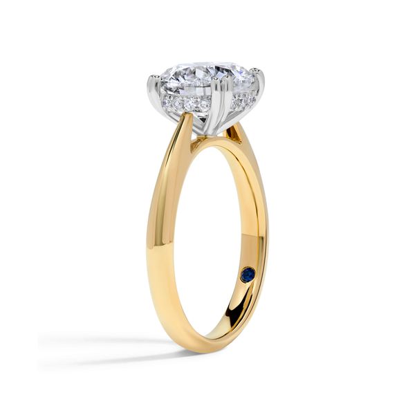 Tulip Blue 4.08 ct Round Lab Grown Diamond Hidden Halo Engagement Ring Image 2 SVS Fine Jewelry Oceanside, NY