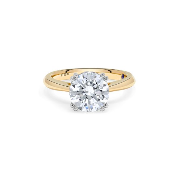 Tulip Blue 4.08 ct Round Lab Grown Diamond Hidden Halo Engagement Ring SVS Fine Jewelry Oceanside, NY