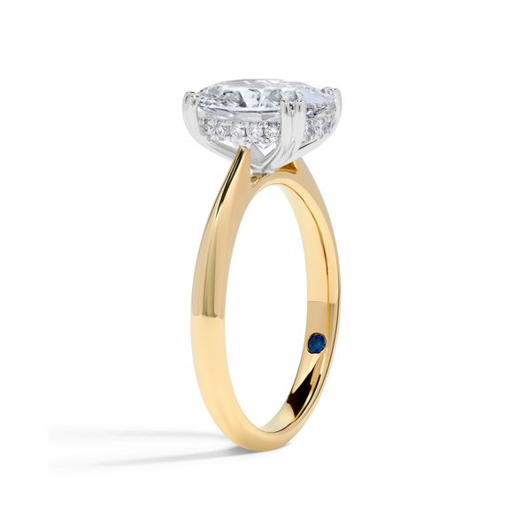 Tulip Blue 4.03 ct Oval Lab Grown Diamond Hidden Halo Engagement Ring Image 2 SVS Fine Jewelry Oceanside, NY