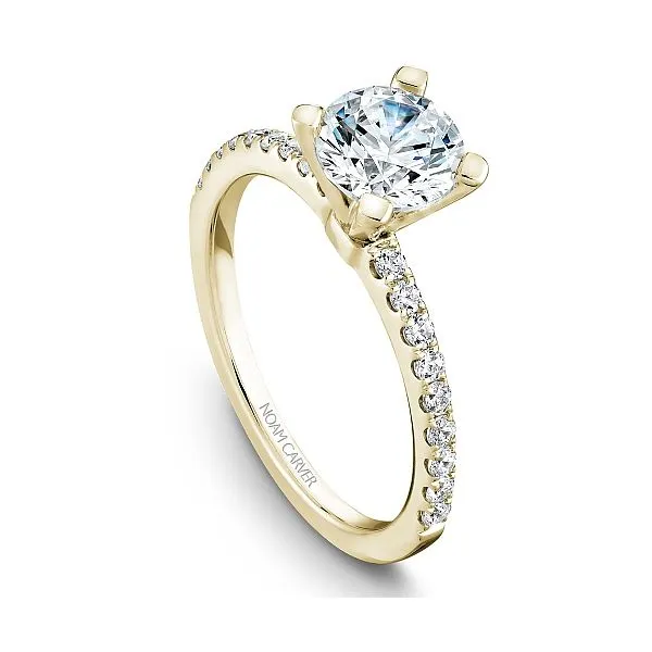 Noam Carver Engagement Ring Image 2 SVS Fine Jewelry Oceanside, NY