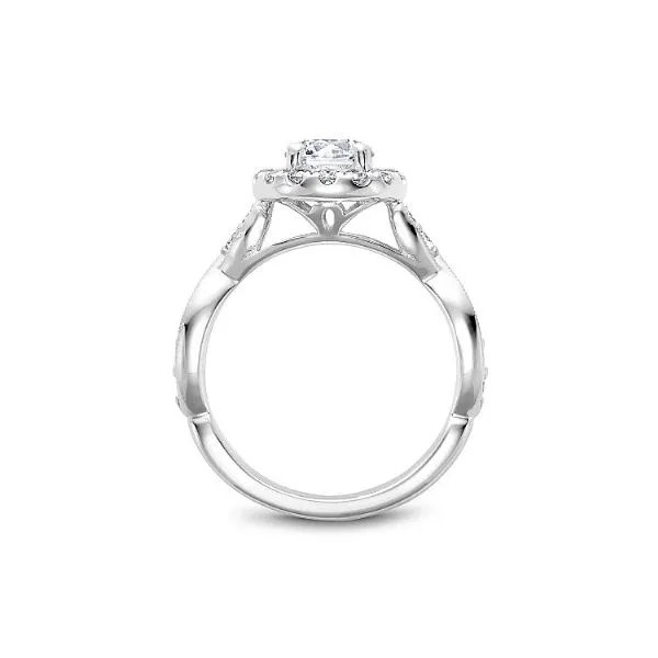 Noam Carver Engagement Ring Image 2 SVS Fine Jewelry Oceanside, NY