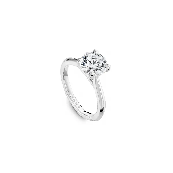 Noam Carver White Gold Engagement Ring Image 3 SVS Fine Jewelry Oceanside, NY
