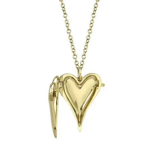 Shy Creation 14K Yellow Gold And Diamond Locket Necklace Image 2 SVS Fine Jewelry Oceanside, NY