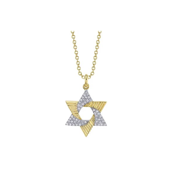 Shy Creation Yellow Gold Diamond Star Of David Necklace SVS Fine Jewelry Oceanside, NY
