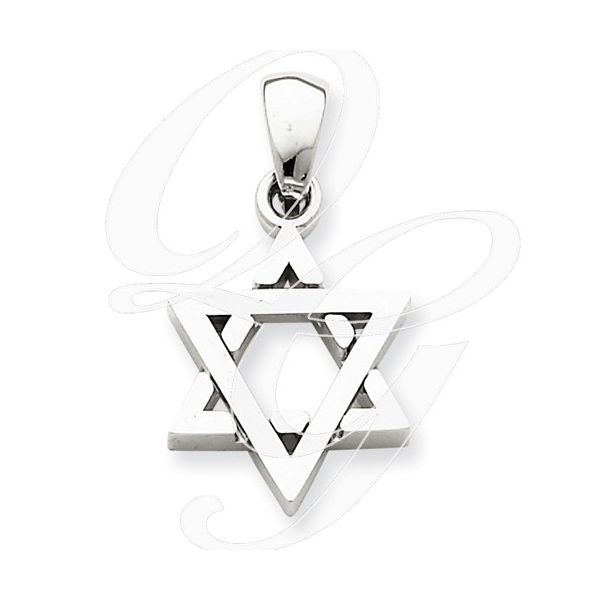 White Gold Star Of David (chain not included) SVS Fine Jewelry Oceanside, NY