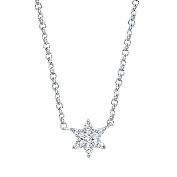 Shy Creation 14K White Gold Star Of David Necklace SVS Fine Jewelry Oceanside, NY