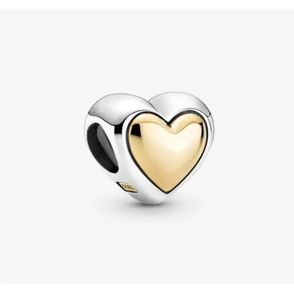 Pandora Passions Collection Sterling Silver Heart Charm SVS Fine Jewelry Oceanside, NY
