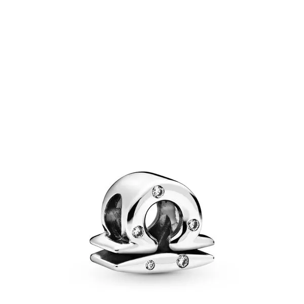 Pandora Moments Collection Sterling Silver Charm SVS Fine Jewelry Oceanside, NY