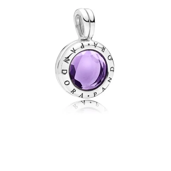 Pandora Signature Collection Sterling Silver Locket Charm SVS Fine Jewelry Oceanside, NY