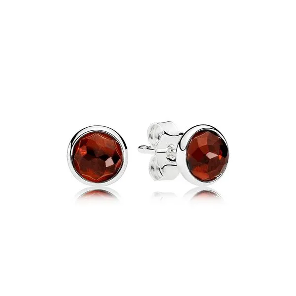 Pandora Purely Pandora Collection Sterling Silver Earrings SVS Fine Jewelry Oceanside, NY