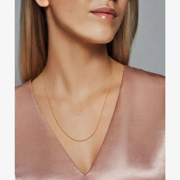 Pandora Icons Collection Yellow Gold Plated Silver Necklace Image 4 SVS Fine Jewelry Oceanside, NY