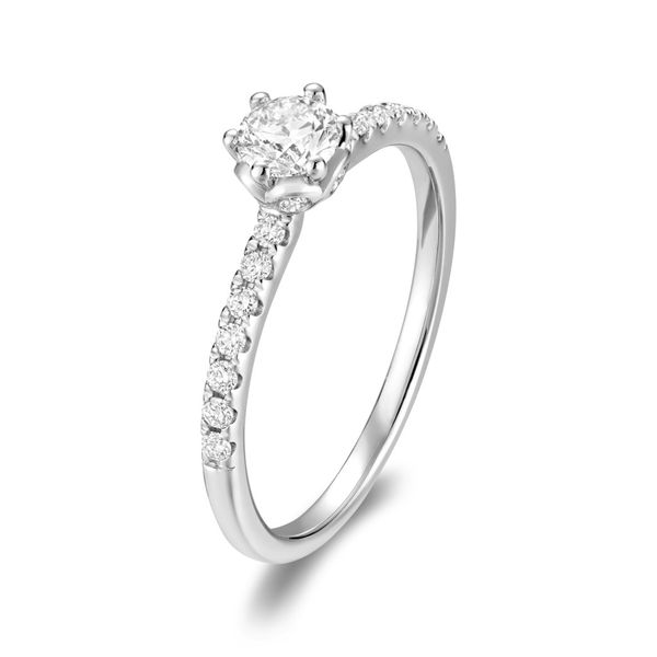 DIAMOND ENGAGEMENT RING 6 PRONG SOLITAIRE WITH SURPRISE DIAMONDS ON BASKET , ROUND BRILLIANT CENTER 0.32 CT IN 14CT WHITE GOLD S Taylors Jewellers Alliston, ON