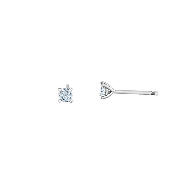 14KT White Gold With 0.20C.T.W Lab Grown Diamond Earrings Taylors Jewellers Alliston, ON