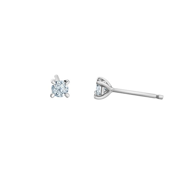 14KT White Gold With 0.30C.T.W Lab Grown Diamond Earrings Taylors Jewellers Alliston, ON