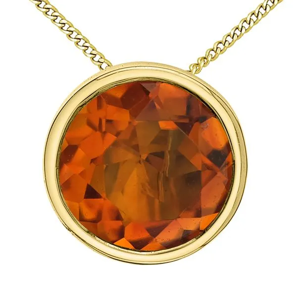 10kt Yellow Gold 1.00ct Citrine Necklace Taylors Jewellers Alliston, ON