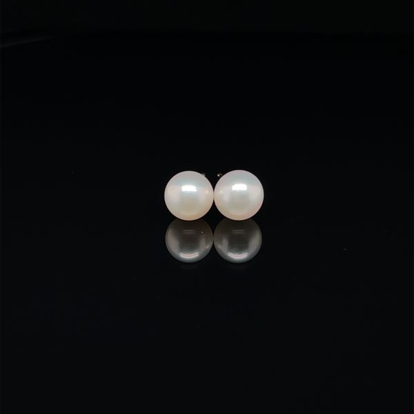 6-6.5MM AKOYA PEARL STUD 14KT YELLOW EARRING Taylors Jewellers Alliston, ON