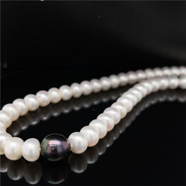 FRESH WATER & TAHITIAN PEARL NECKLACE WITH STERLING SILVER STARDUST CLASP Taylors Jewellers Alliston, ON