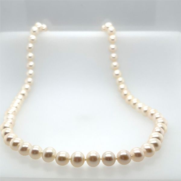 6-7MM Fresh Water Pearl Necklace with Bracelet And Stud Earrings Image 3 Taylors Jewellers Alliston, ON