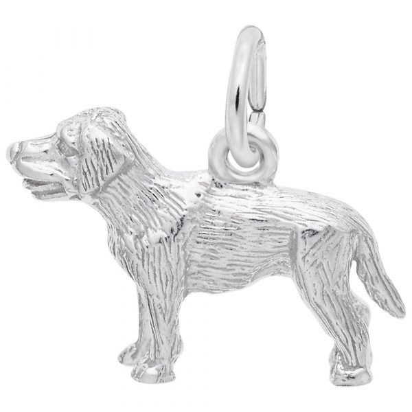 2404 Small Labrador Retriever Dog Silver Charm Taylors Jewellers Alliston, ON