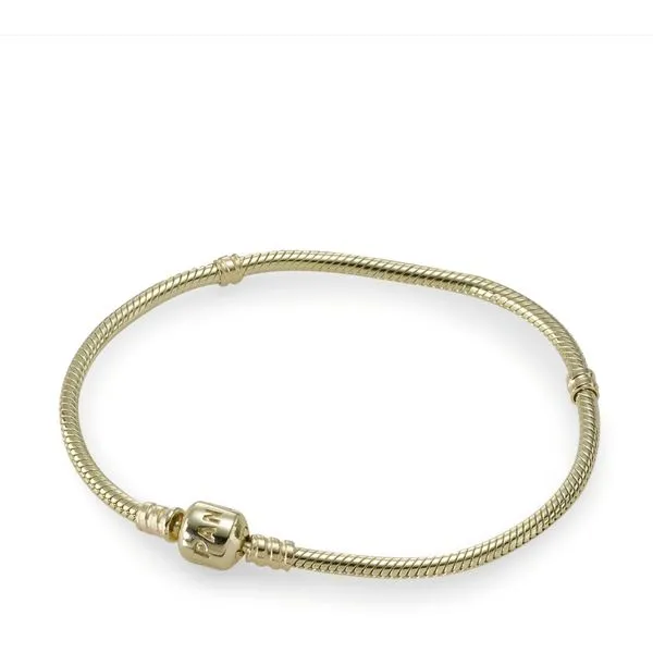 Gold bangle pandora store