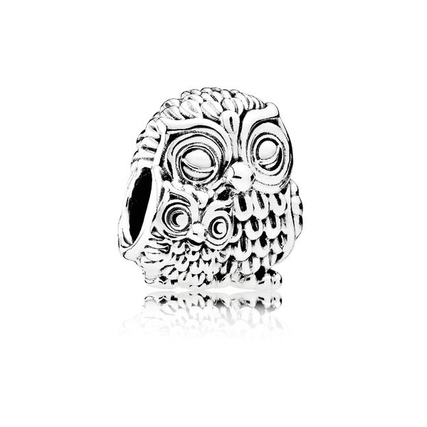 PANDORA 791966 Charming Owls Charm Taylors Jewellers Alliston, ON