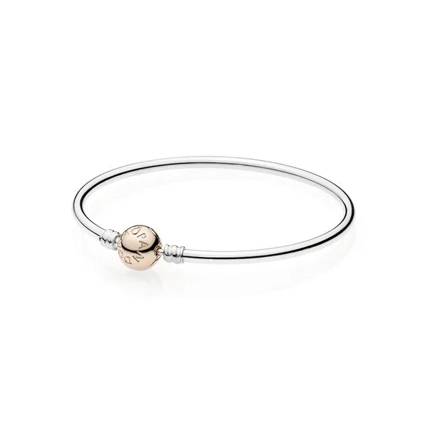 PANDORA 580713-17 MOMENTS BANGLE WITH PANDORA ROSE CLASP SIZE 6.7 Taylors Jewellers Alliston, ON