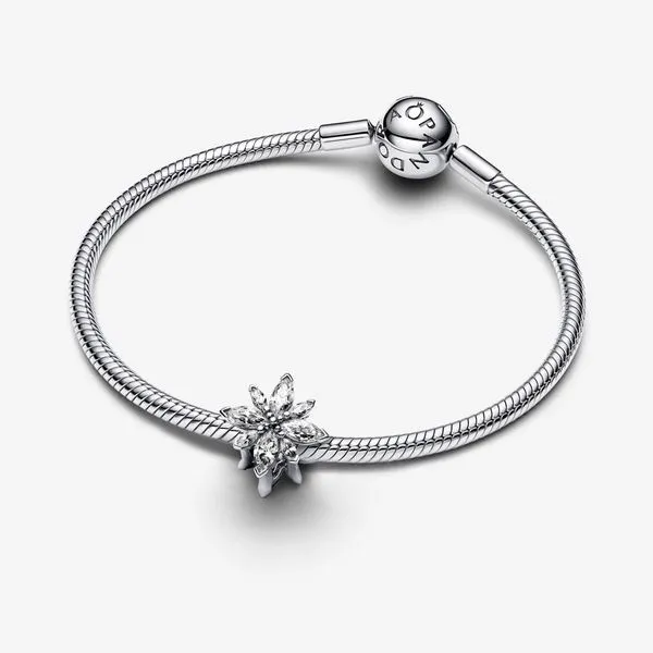 PANDORA 793591C01 Sparkling North Star Charm Image 2 Taylors Jewellers Alliston, ON