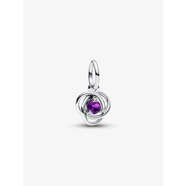 PANDORA 793125C02 February Purple Eternity Circle Dangle Charm Taylors Jewellers Alliston, ON
