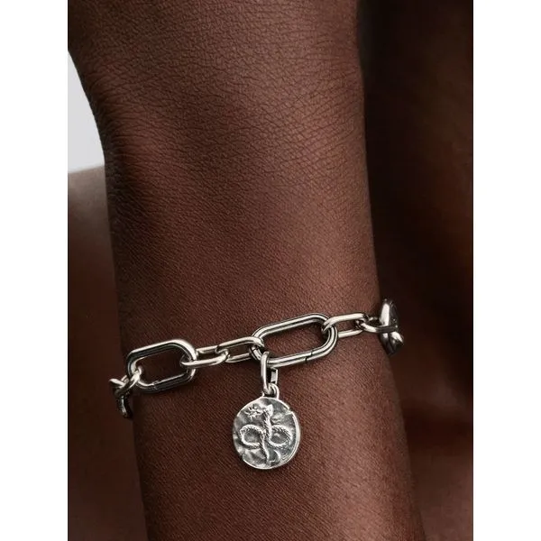 PANDORA 793976C01 Infinity Snake Medallion Charm