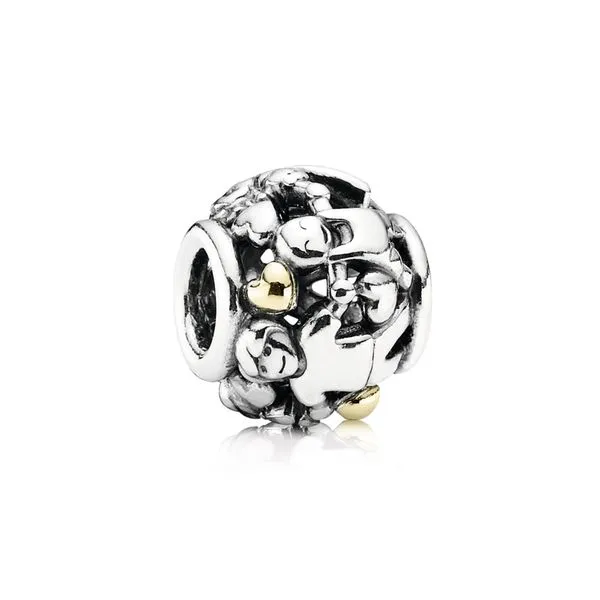 PANDORA 791040 FAMILY FOREVER CHARM Taylors Jewellers Alliston, ON