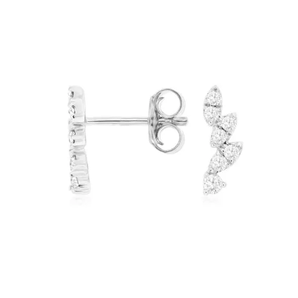 Diamond Earrings Tena's Fine Diamonds and Jewelry Elberton, GA