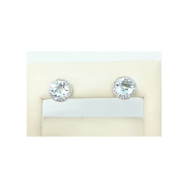 Earrings Tena's Fine Diamonds and Jewelry Elberton, GA