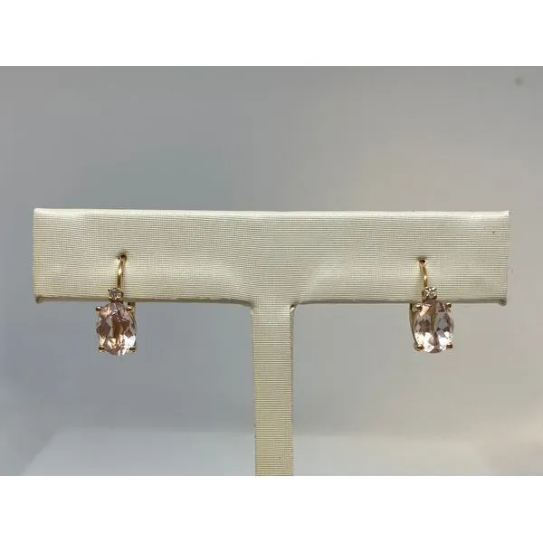 10 Karat Yellow Morganite and Diamond Earrings Tena's Fine Diamonds and Jewelry Elberton, GA