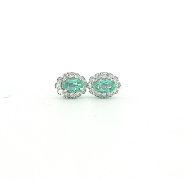 Earrings Tena's Fine Diamonds and Jewelry Elberton, GA