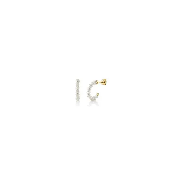 Earrings similar item image