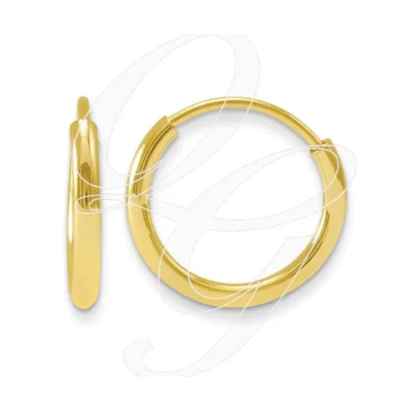 Gold Earrings Tena's Fine Diamonds and Jewelry Elberton, GA
